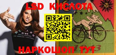 крисы Дубна