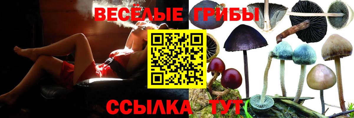 Псилоцибиновые грибы Psilocybine cubensis  Вход с VPN  Мелеуз  Галлюциногенные грибы GOLDEN TEACHER 
