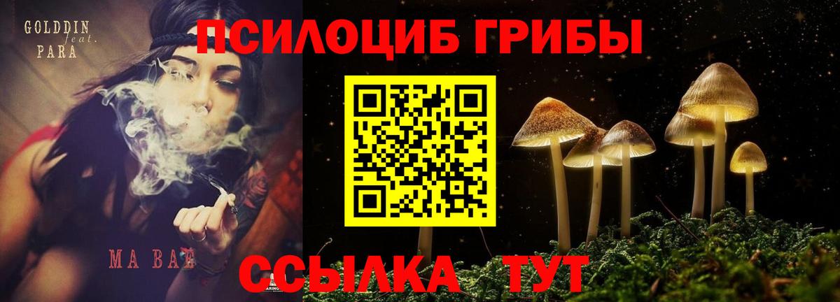 Галлюциногенные грибы мухоморы Мелеуз